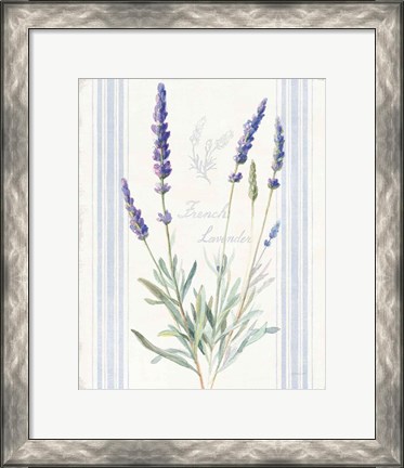 Framed Floursack Lavender I Print