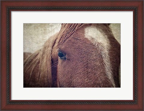 Framed Dew Lashes Print