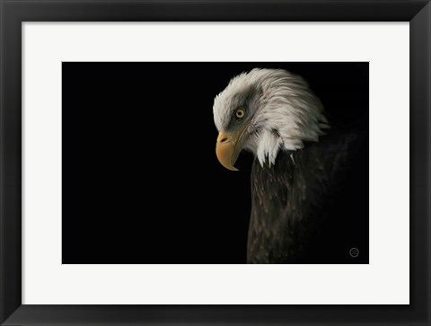 Framed Eagle Bow Print