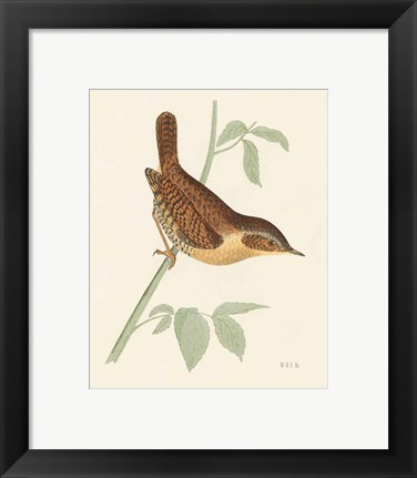 Framed Engraved Birds I Print