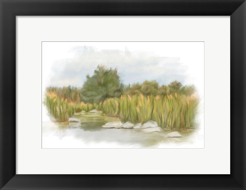 Framed Marshy Wetlands I Print
