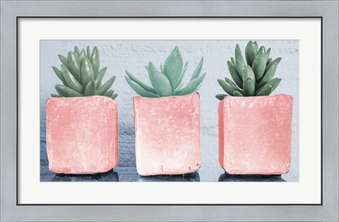 Framed Pink Potted Succulents Print
