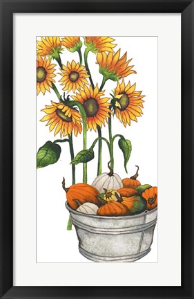 Framed Harvest Bounty Tub I Print