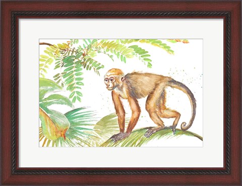 Framed Monkey Roaming In The Jungle Print