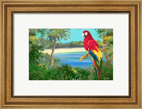 Framed Parrot By The Ocean Print