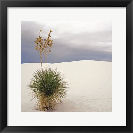 Framed Botanic Dunes Print