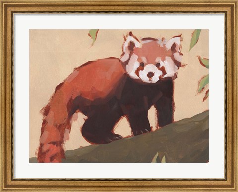 Framed Red Panda I Print
