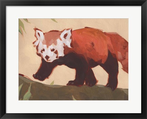 Framed Red Panda II Print