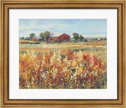 Framed Country View II Print