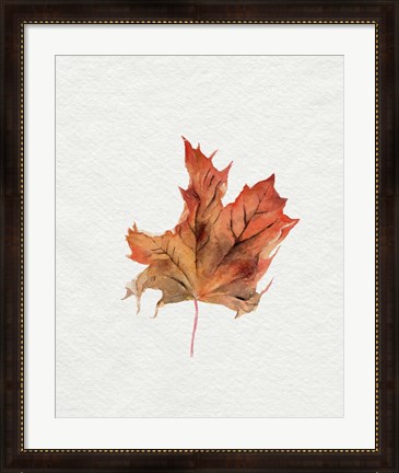 Framed Watercolor Autumn Leaf II Print