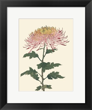 Framed Chrysanthemum Woodblock II Print