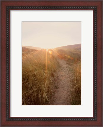 Framed Dunes with Seagulls 4 Print