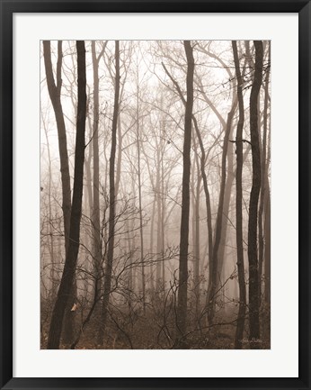 Framed Emptiness Print