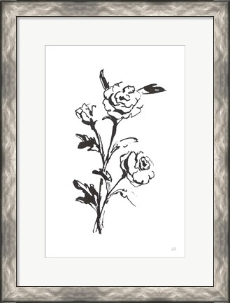 Framed Line Ranunculus II Print