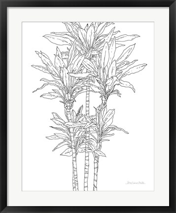 Framed Sketched Tree II Print