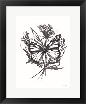 Framed Black &amp; White Butterfly Print