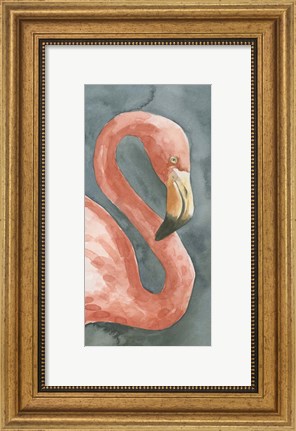 Framed Flamingo Study I Print