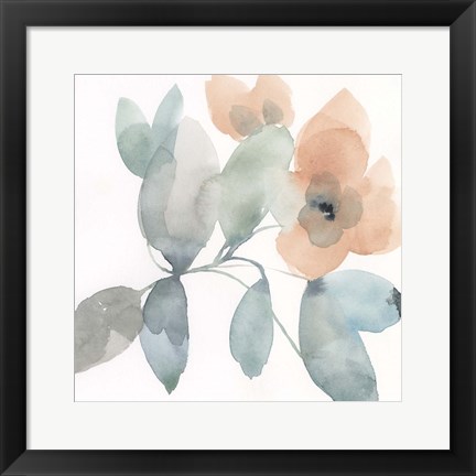 Framed Water and Petals II Print