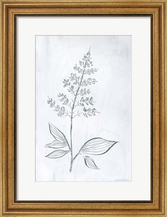 Framed Milkweeds IV Print