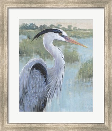 Framed Blue Heron Portrait II Print