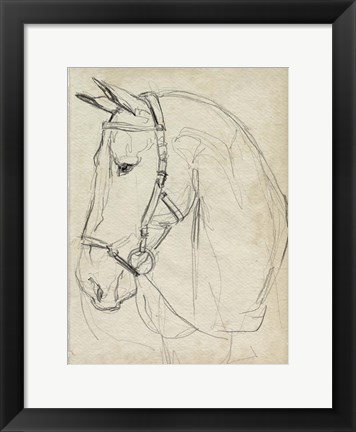 Framed Horse in Bridle Sketch II Print