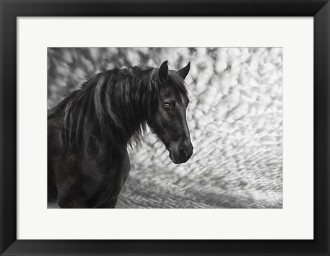 Framed Equine Portrait III Print