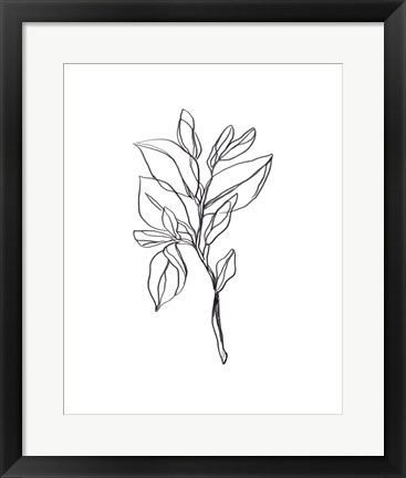 Framed Leaf Sprig I Print