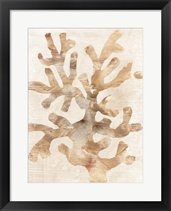 Framed Parchment Coral I Print