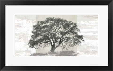 Framed Ash Tree Panel Print