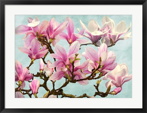 Framed Magnolia Branch (turquoise) Print