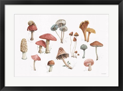 Framed Mushroom Medley 01 Print