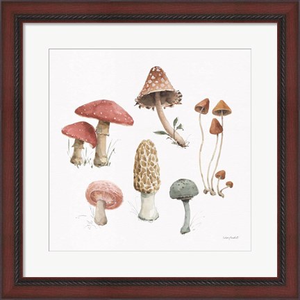 Framed Mushroom Medley 03 Print
