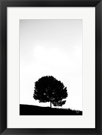 Framed Lone Tree Hill Print