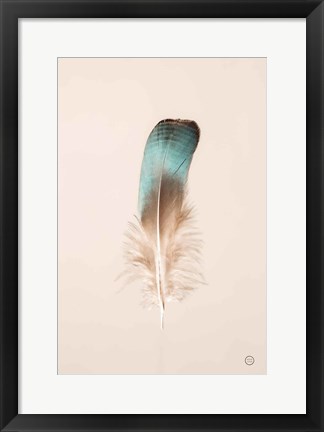 Framed Floating Feathers IV Print