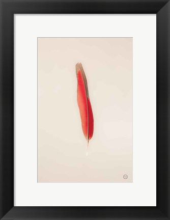 Framed Floating Feathers II Print