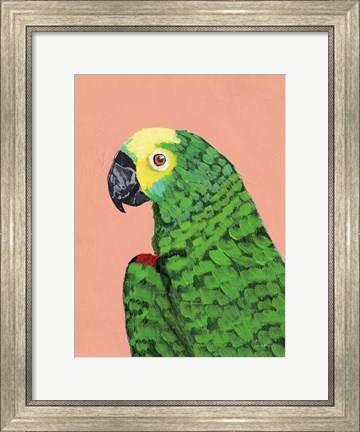 Framed Parrot Head Print