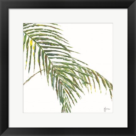 Framed Two Palm Fronds II Print