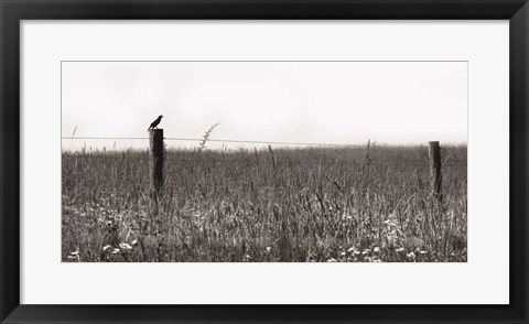 Framed Country Field Print