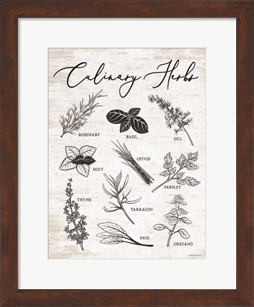 Framed Culinary Herbs Print