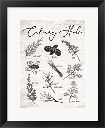 Framed Culinary Herbs Print
