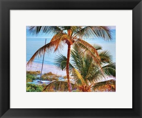 Framed Colors of Florida Print