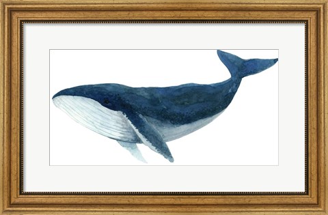 Framed Humpback Whale - Blue Print