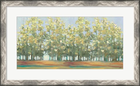 Framed Aspen Grove III Print