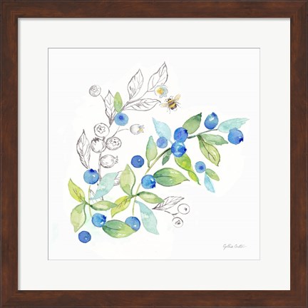 Framed Berries and Bees IV Print
