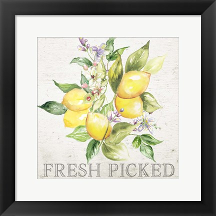 Framed Lemon Grove III Print