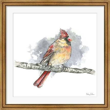 Framed Birds &amp; Branches II-Female Cardinal Print