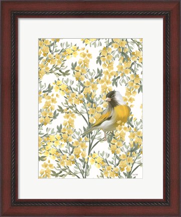 Framed Yellow Spring Finch Print