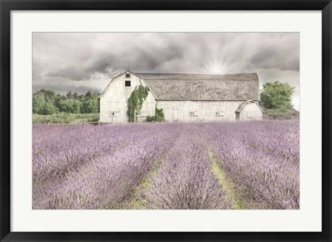 Framed Shades of Lavender and Gray Print