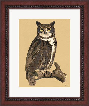 Framed Great Owl Print