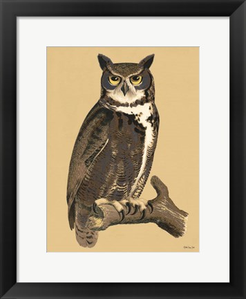 Framed Great Owl Print